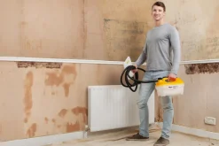 Wagner Behangafstomer Steamforce Eu-Brico Online